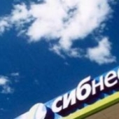 Нефтяная компания Сибнефть ожидает снижения добычи нефти в 2005 году. 